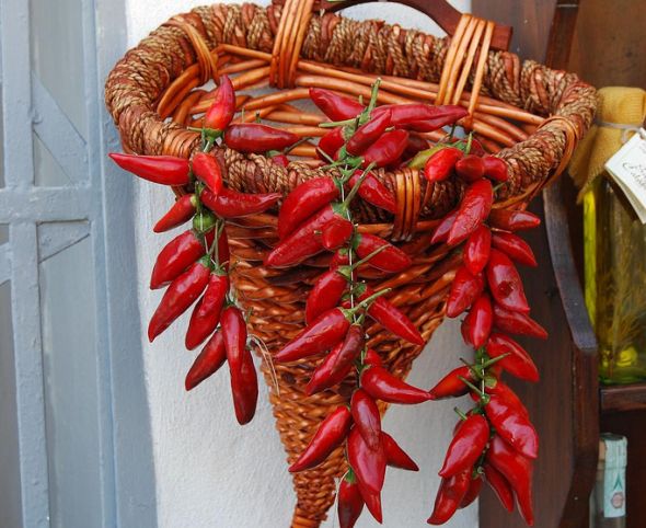 RTEmagicC Calabria 1